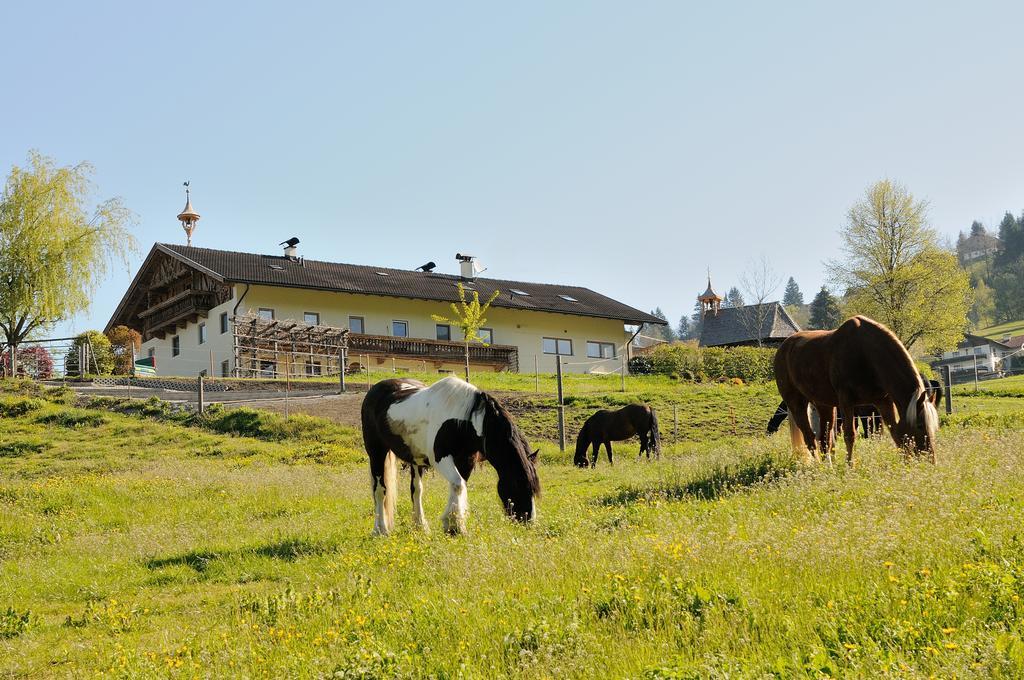 Familie Sponring - Maxnhagerhof * Weerberg