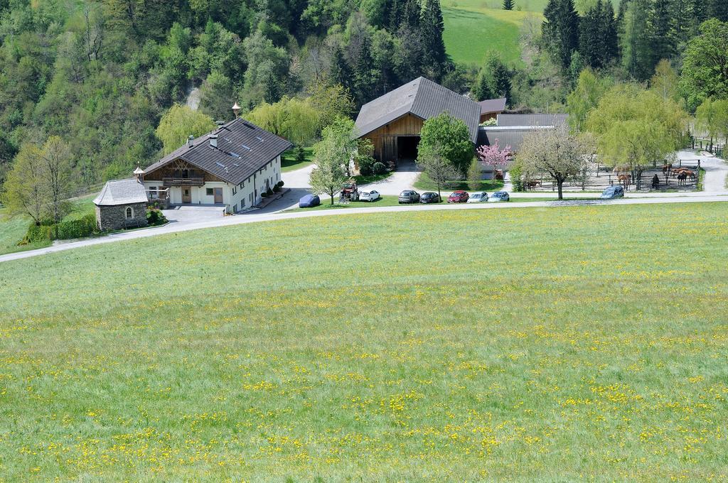 Familie Sponring - Maxnhagerhof *